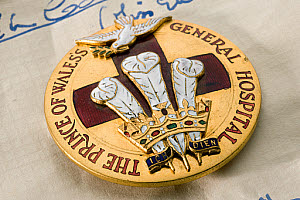 10545475
&copy;
The Prince Of Wales General Hospital