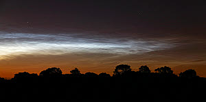 10546061
&copy; Jamie Cooper
Noctilucent clouds over Northamptonshire, UK. Taken 17 June 2009