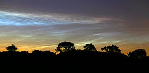 10546062
&copy; Jamie Cooper
Noctilucent clouds over Northamptonshire, UK. Taken 17 June 2009