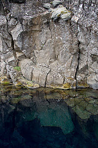 10618767
Pingvellir, Iceland, July 2011