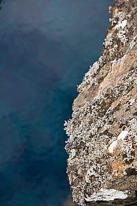 10618768
Lichens in Pingvellir, Iceland, July 2011