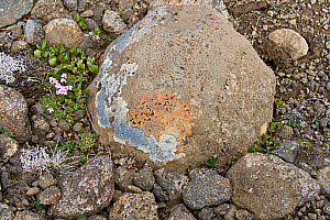 10618770
Highlands, Iceland, July 2011