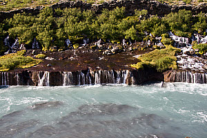 10618772
Hraunfossar, Iceland, July 2011