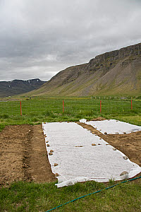 10618773
Iceland, July 2011