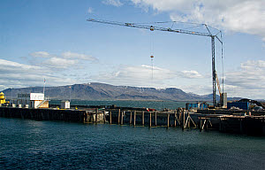 10618777
Reykjavik harbour, June 2011