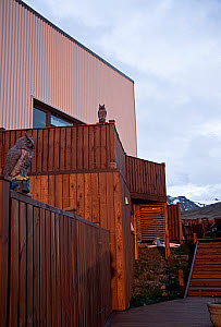10618794
Grundarfjordur, Iceland, June 2011