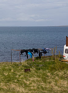 10618795
Grundarfjordur, Iceland, June 2011