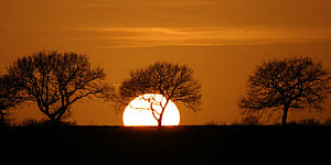 10464601
&copy; Jamie Cooper
Sunset, 2007.