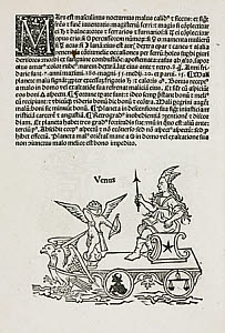 10436802
&copy; Science Museum Library
Venus symbolised, 1489.
