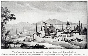 10324308
&copy; Science Museum Library
Village with anti-lightning protection rods, 1820.