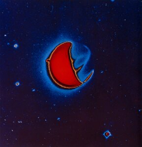 10299209
&copy; NASA
The Earth in far ultraviolet light, April 1972.