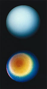 10300013
&copy; NASA
The planet Uranus, 1986.