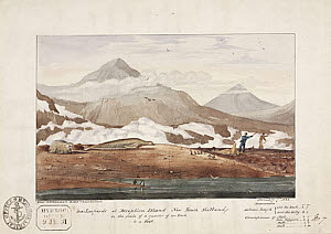 10422214
&copy; Science Museum Pictorial
�Sea-Leopards at Deception Island, New South Shetland�, 7 January, 1828.