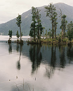 10464916
&copy; GNS Science
Lake Brunner, New Zealand, 1994.