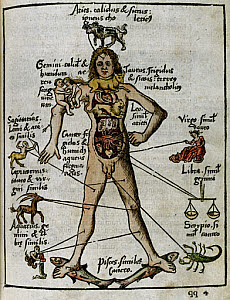 10305717
&copy; Science Museum Library
Zodiacal man, 1535.