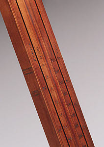 10413118
&copy; Science Museum
Detail of backing board for thermometer, c 1758.