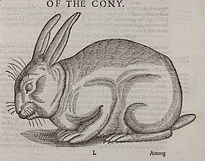 10425319
&copy; Science Museum Library
The Cony, 1607.