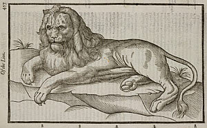 10425324
&copy; Science Museum Library
The Lion, 1607.