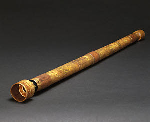 10323329
&copy; Science Museum
Galileo's telescope, 1610.