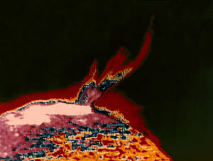 10299231
&copy; NASA
False colour image of a solar flare photographed from Skylab, 1973