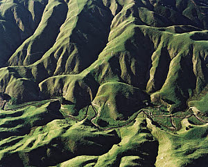 10464931
&copy; GNS Science
Kakaho Fault, New Zealand, 1986.