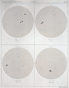 10196542
&copy; Science Museum
Four views of the Sun and Sunspots, 1872.