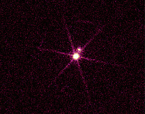 10447249
&copy; Science Museum
X-rays from Sirius B, 6 October 2000.