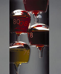 10310250
&copy; Science Museum
�Galileo's thermometer�, 1592.