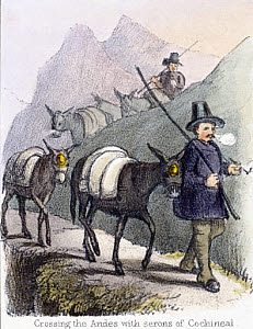 10320651
&copy; Science Museum Pictorial
'Crossing the Andes with serons of Cochineal', c 1845.