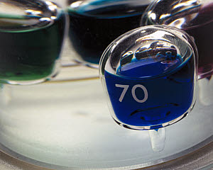 10310254
&copy; Science Museum
'Galileo's thermometer', 1592.