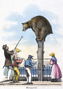 10319961
&copy; Science Museum Pictorial
'Menagerie', c 1845.