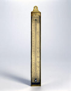 10316563
&copy; Science Museum
Mercury in glass thermometer, 1775-1785.