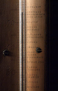 10439263
&copy; Science Museum
Greenhouse thermometer, c 1798.