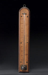 10439264
&copy; Science Museum
Greenhouse thermometer, c 1798.
