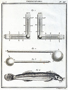 10313275
&copy; Science Museum Library
Thermometers, 1788.