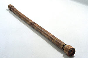 10313779
&copy; Science Museum
Galileo's telescope, 1610.