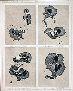 10313482
&copy; Science Museum
Four views of Sunspots, 1872.