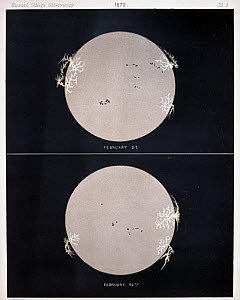 10313484
&copy; Science Museum
Two views of the Sun, 1872.
