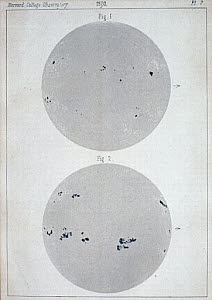 10313485
&copy; Science Museum
Two views of the Sun, 1872.