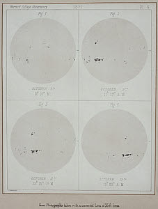 10313486
&copy; Science Museum
Four views of the Sun, 1871.