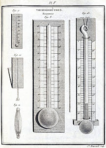 10313287
&copy; Science Museum Library
Reaumur thermometers, 1774.