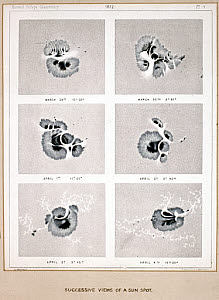 10313487
&copy; Science Museum
�Successive views of a Sunspot�, 1872.