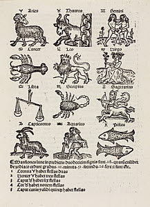 10436793
&copy; Science Museum Library
The Twelve Signs of the Zodiac, 1489.