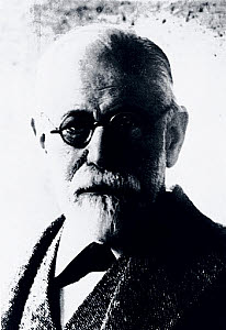 10250803
&copy; NMeM Daily Herald Archive
Sigmund Freud, Austrian neurologist and founder of psychoanalysis, c 1931.