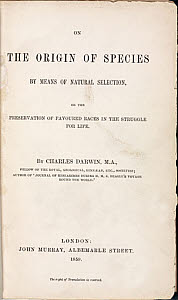 10411805
&copy; Science Museum Library
Title page from Darwin�s �The Origin of Species�, 1859.