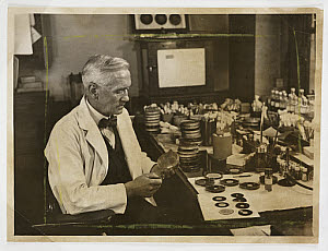 10432108
&copy; NMeM Daily Herald Archive
Professor Fleming working in his laboratory, 1943.