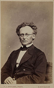 10401511
&copy; Science Museum Pictorial
Jon Iapetus Smith Steenstrup, Norwegian zoologist, c 1870s.
