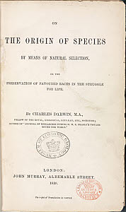 10415612
&copy; Science Museum Library
Title page from Darwin�s �The Origin of Species�, 1859.