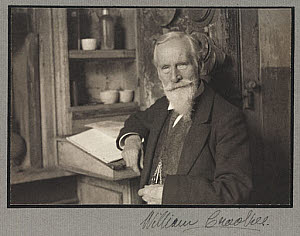 10401620
&copy; Science Museum Pictorial
Sir William Crookes, English physicist and chemist, 1914.