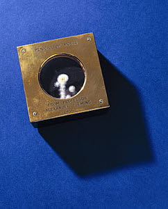 10306134
&copy; Science Museum
Penicillium Mould from Professor Alexander Fleming, 1935.